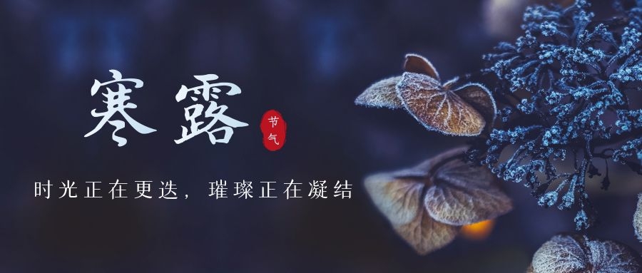 寒露 ▎時光更迭，璀璨正在凝結~