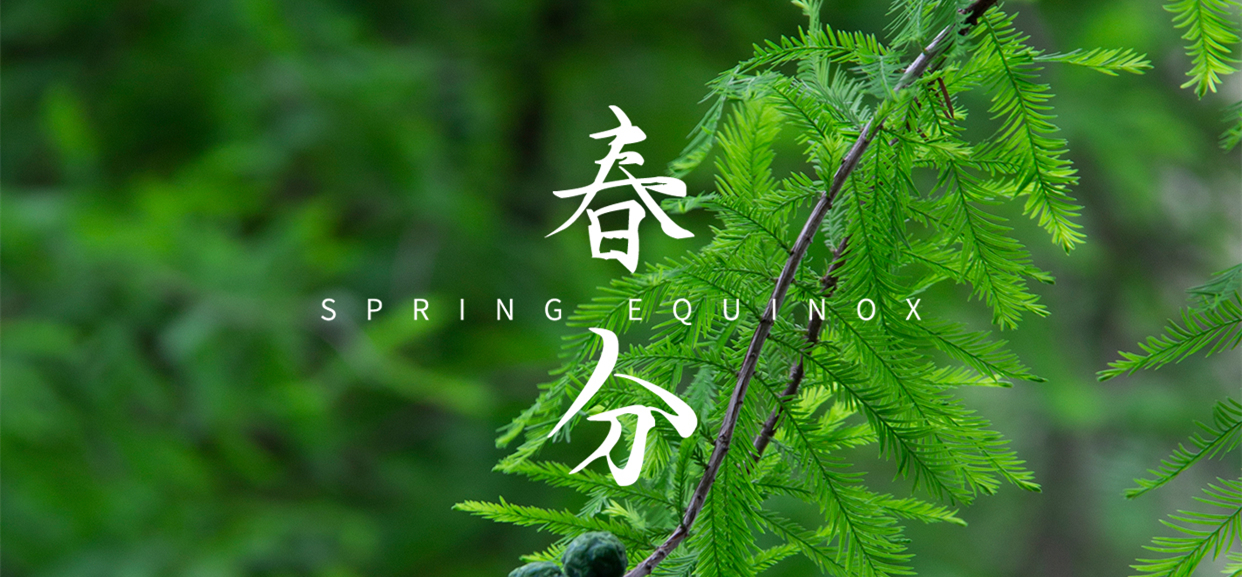 春分 ▎不負春光，萬物生長