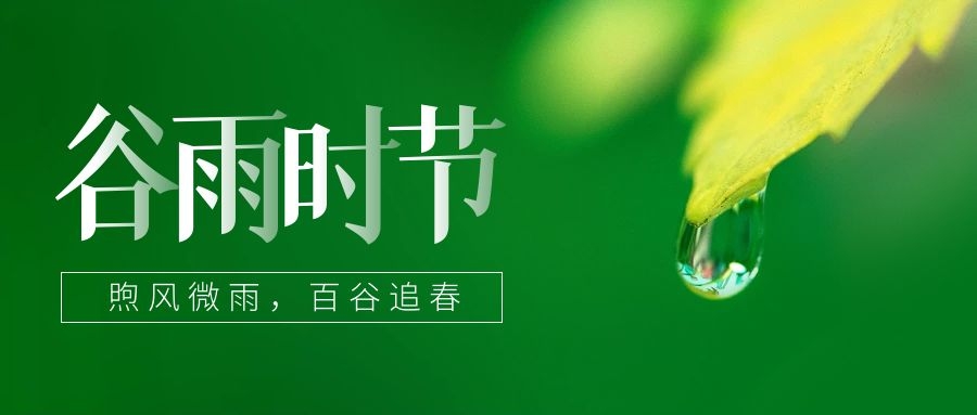 谷雨 ▎雨生百谷，鎖住一抹春色