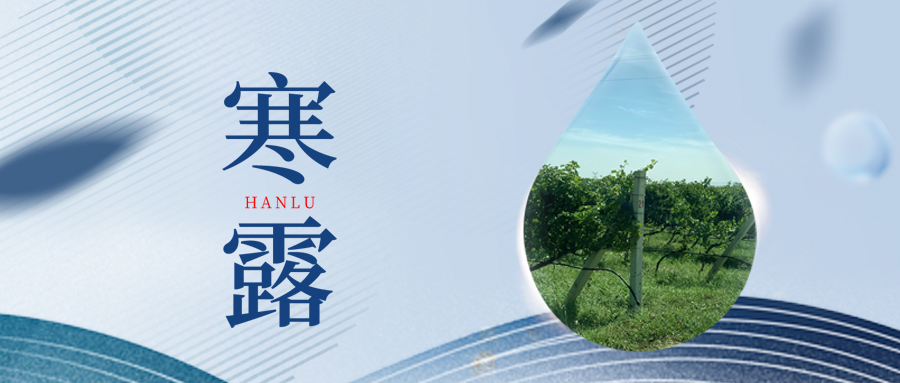 寒露丨夜露凝寒，萬物皆秋