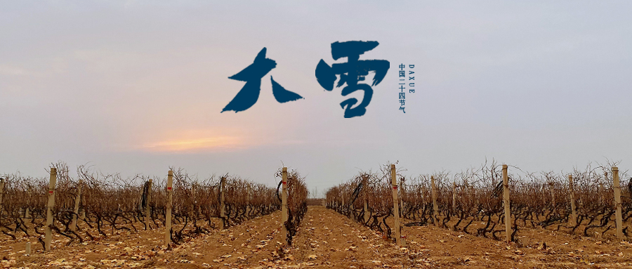 大雪 ▎世界留白，天地靜美