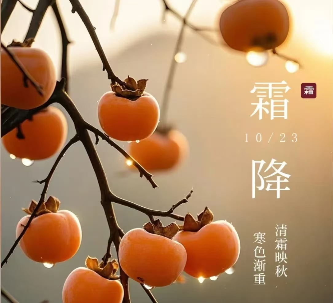 霜降||人間至此秋色盡，草木搖落露為霜